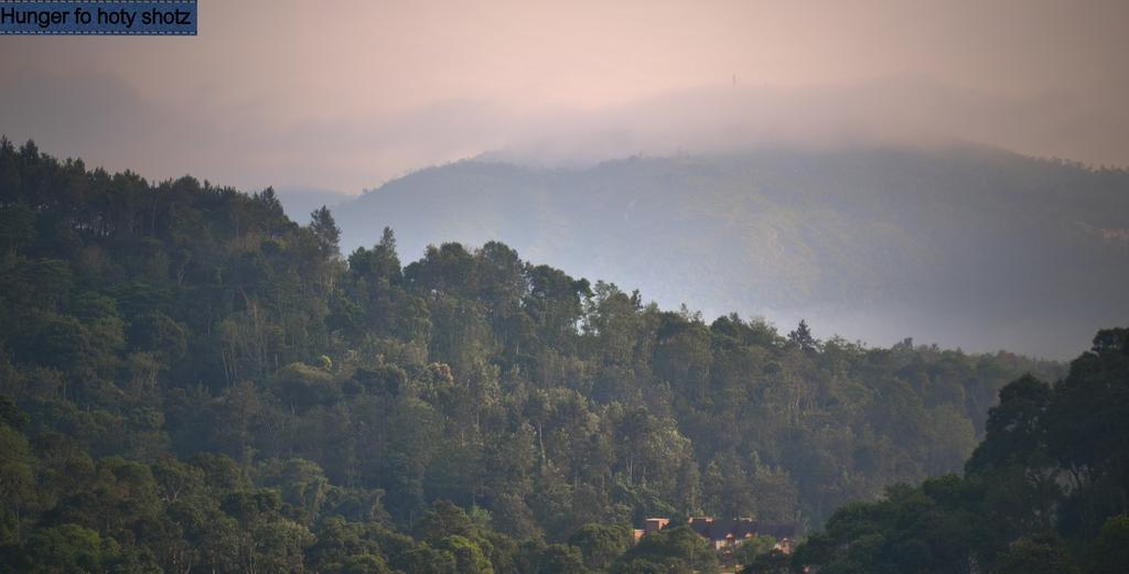 Thekkady Homestay Exterior photo